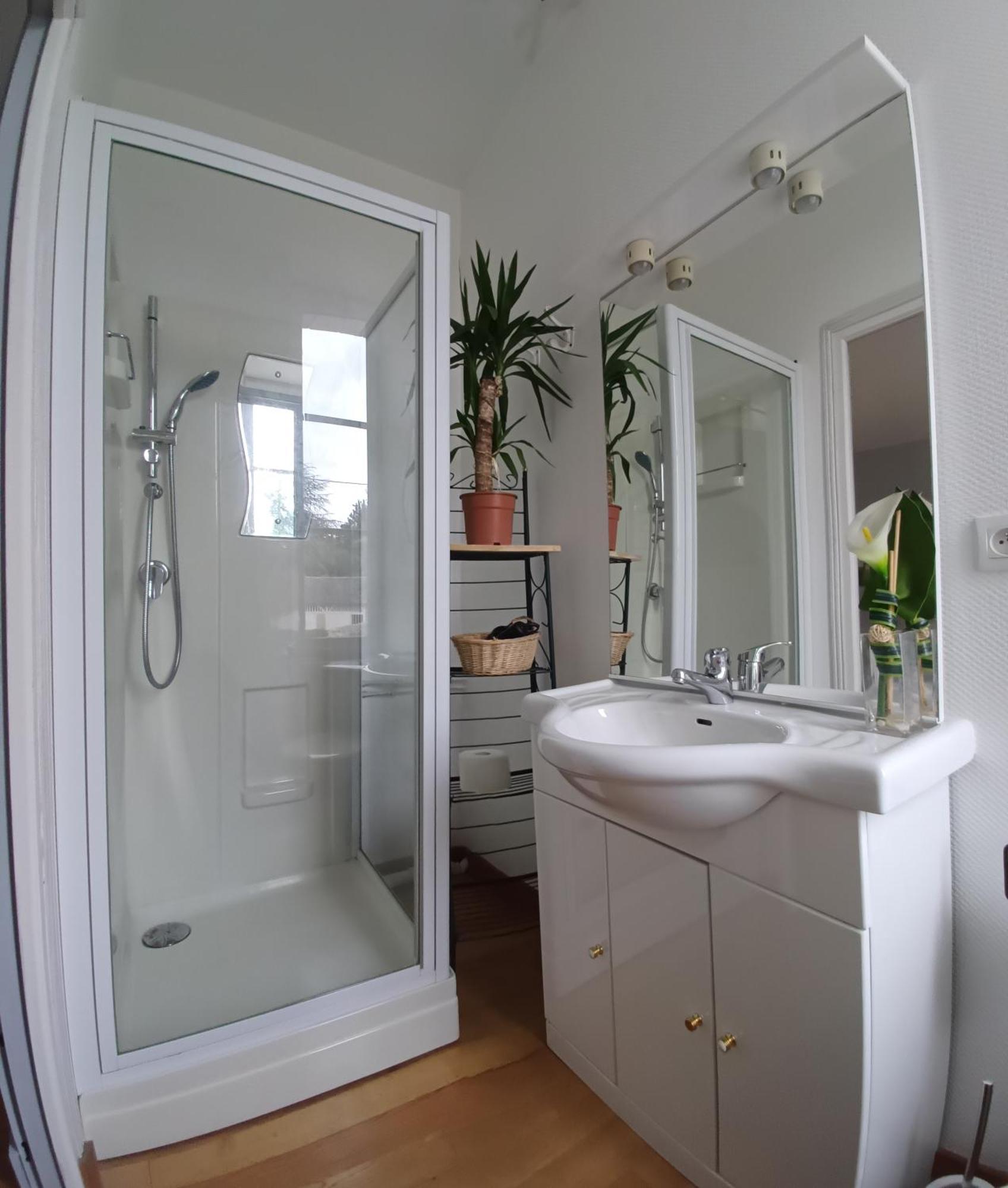 Le Jardin Des Lys - Chambre D'Hote Ou Appartement La Roche-Posay Habitación foto